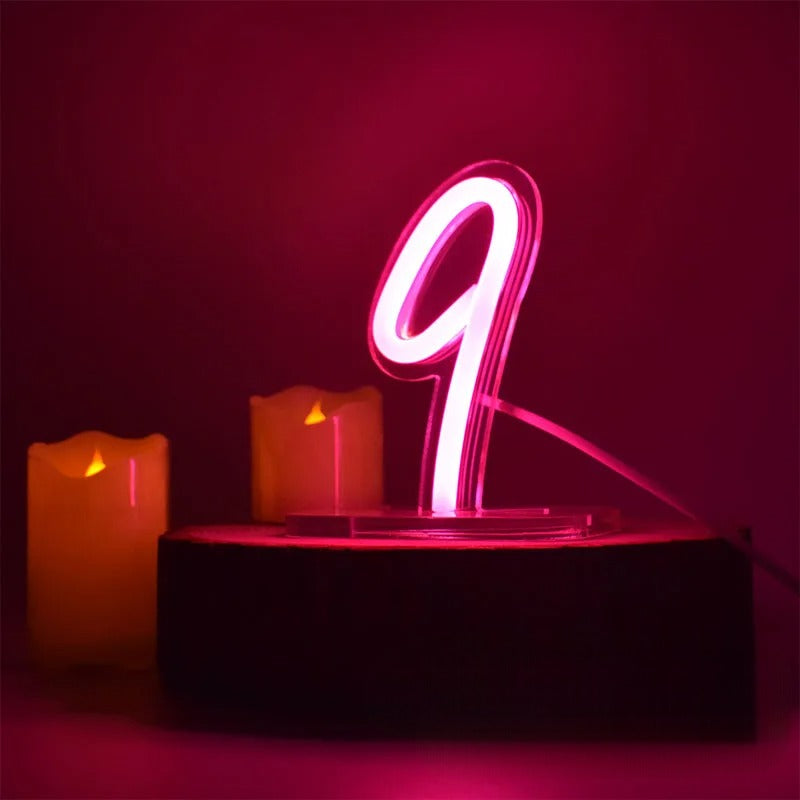 Luminous Neon Desk Light Number  Personalized Mirror 9  