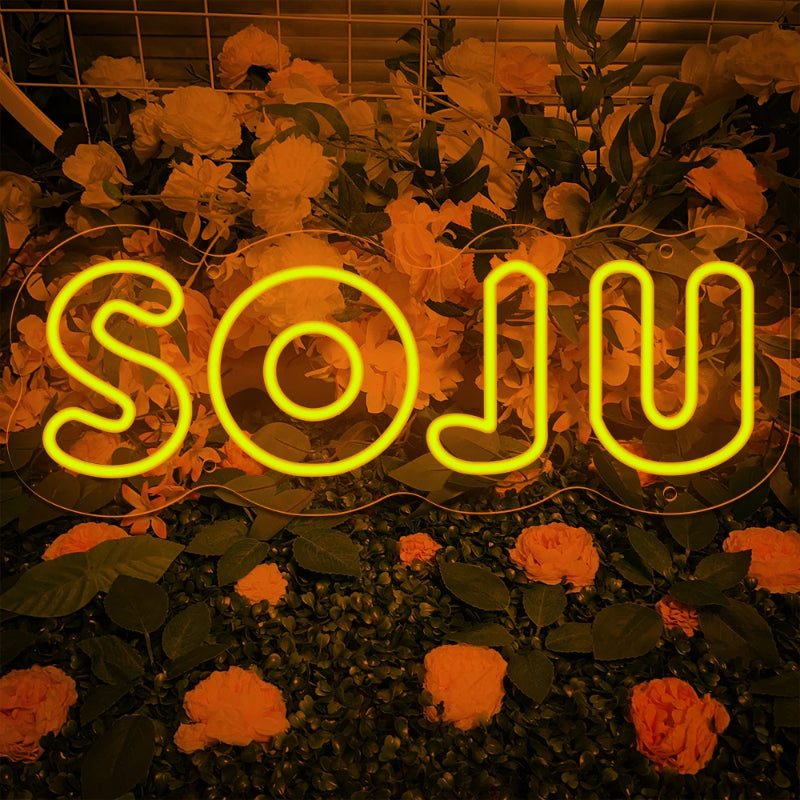 Soju Letter Neon Led Sign  Personalized Mirror Orange  