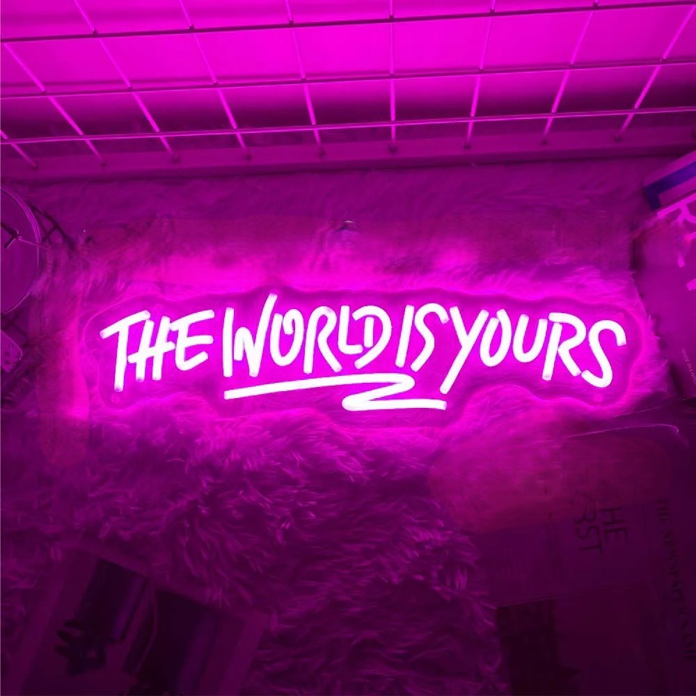 The World Is Yours Neon Led Sign  Personalized Mirror Pink  