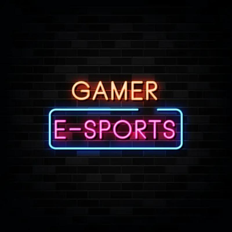 Neon Gamer Esports Sign  Personalized Mirror S  