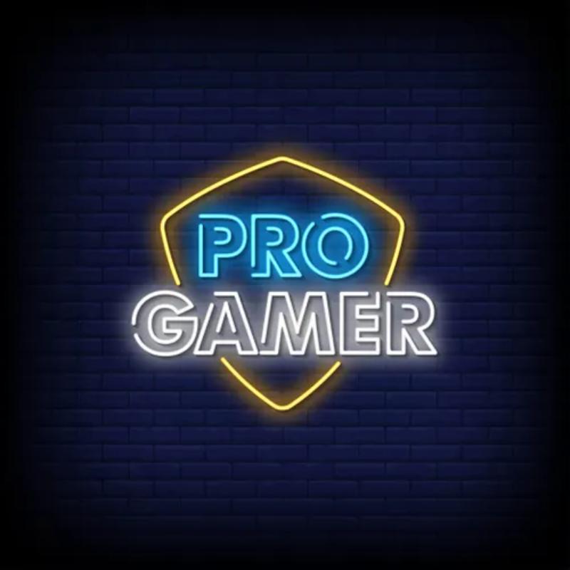 Pro Gamer Neon Sign  Personalized Mirror S  